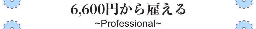 法人保守サービス